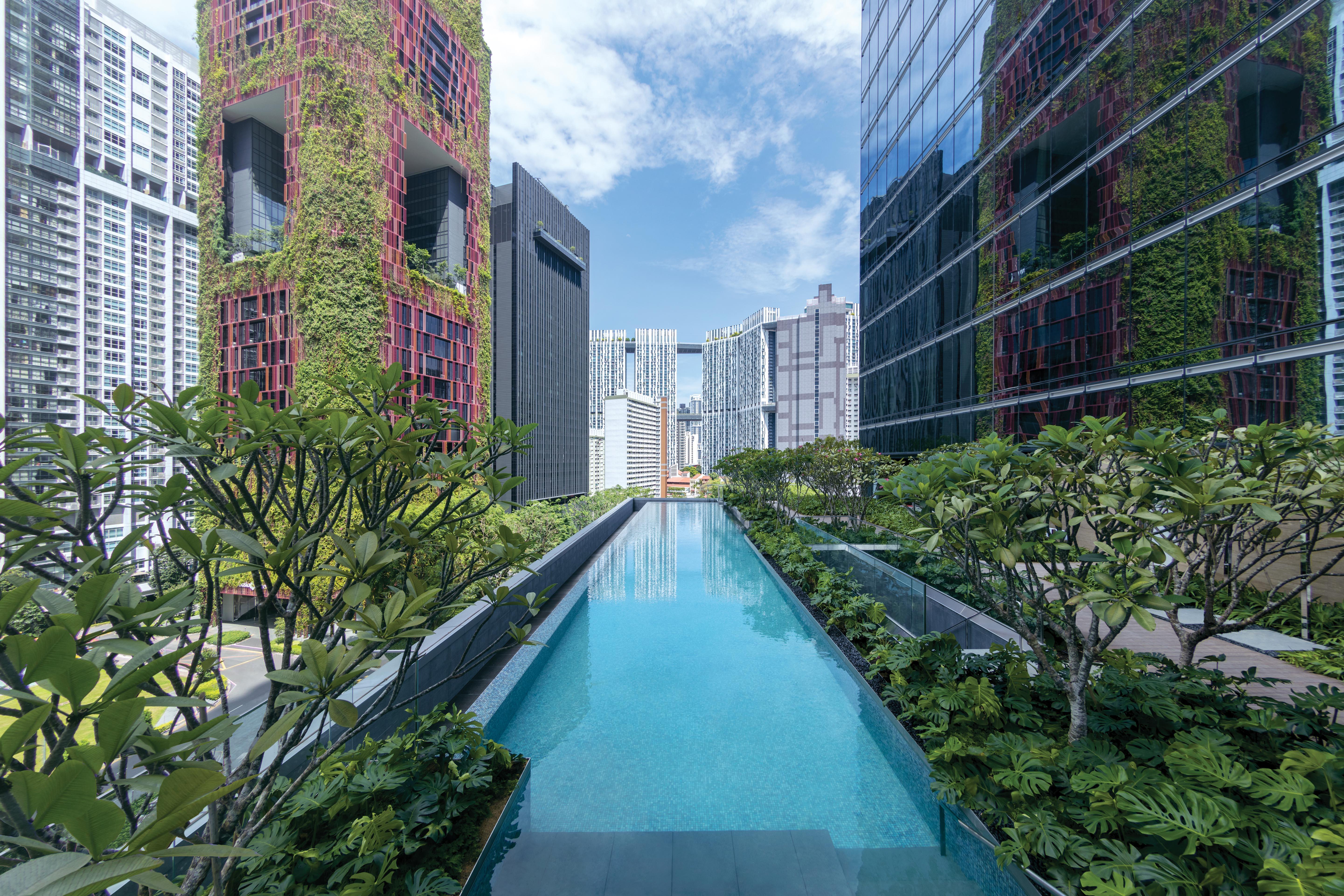 Sofitel Singapore City Centre Exteriér fotografie